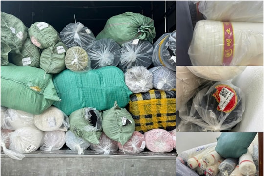 Hà Nội: Phát hiện xe tải chở 50 cây vải không rõ nguồn gốc
