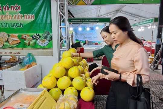 Hà Nội khai mạc tuần hàng trái cây và nông sản 2025