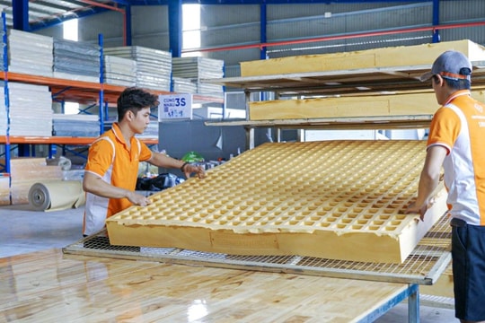 Thương hiệu nệm Việt Vạn Xuân và hành trình chinh phục khách hàng bằng triết lý trung thực