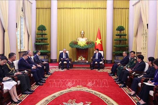 Chủ tịch nước Lương Cường tiếp Bộ trưởng Quốc phòng Thổ Nhĩ Kỳ