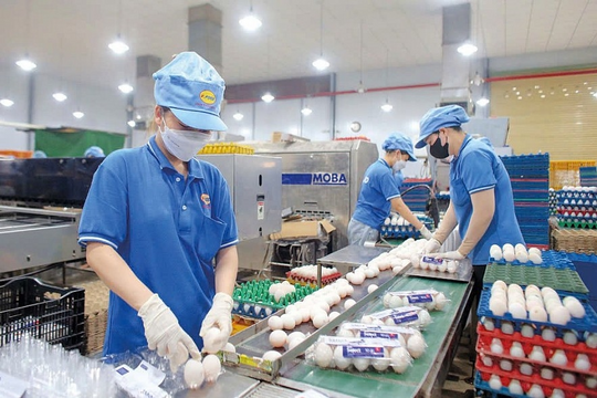 Doanh nghiệp Việt trước cơ hội mới từ chuỗi cung ứng toàn cầu