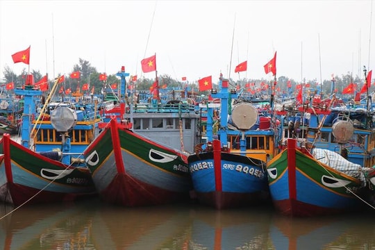 Đề nghị xem xét khách quan về thương mại thủy sản Việt Nam – Hoa Kỳ