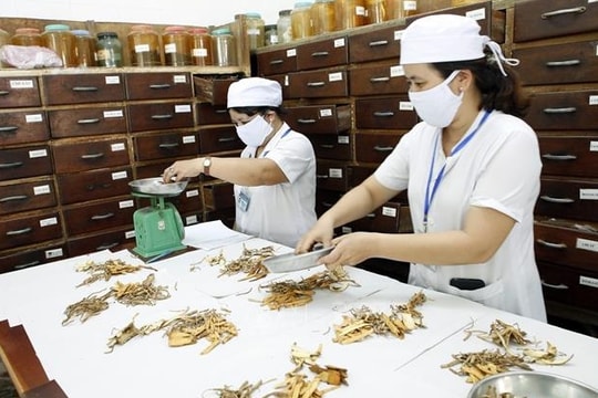 Phát huy hơn nữa vị thế, vai trò của y học cổ truyền trong chăm sóc sức khỏe nhân dân