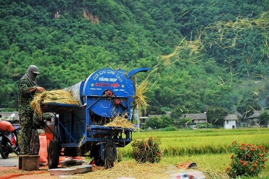 Triển khai kế hoạch hành động giảm phát thải khí mê-tan