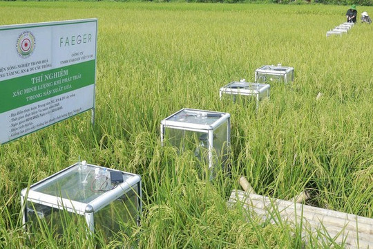 Thanh Hóa Hướng tới nông nghiệp xanh, giảm phát thải và tạo tín chỉ carbon