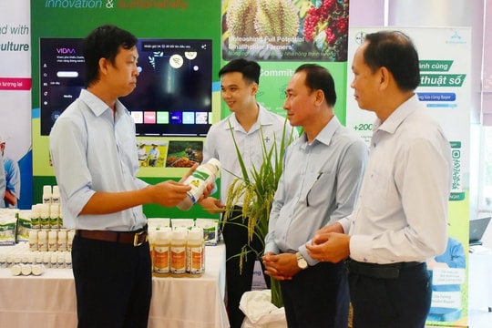 Hướng tới nền nông nghiệp xanh từ mô hình lúa chất lượng cao