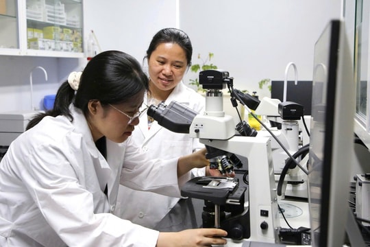 Nhân lực chất lượng cao, chìa khóa bứt phá trong kỷ nguyên số Bài cuối: Tạo đột phá phát triển về chính sách lẫn đào tạo