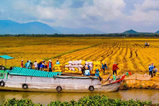 Đánh giá ảnh hưởng phương pháp canh tác và cây trồng đến khí mê-tan