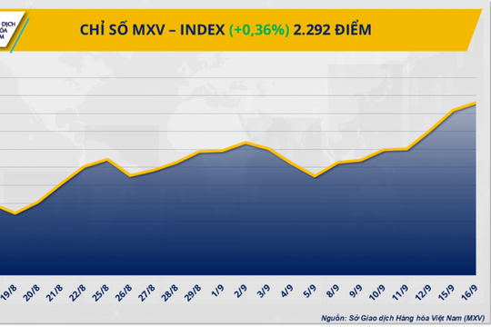 Thị trường hàng hóa: Giá dầu lên mức cao nhất trong hai tuần