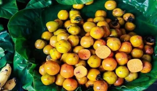 Thức quà đánh thức mùa Thu Hà Nội