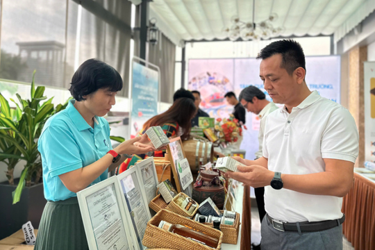 Thị trường nội địa chưa được khai thác đúng quy mô