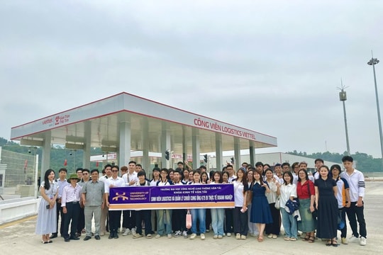 GenZ dễ nghỉ việc: Kém chịu đựng hay dám sống thật?
