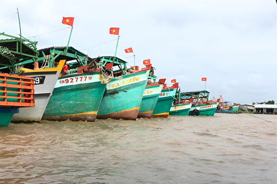 Cà Mau quyết liệt chống khai thác thủy sản bất hợp pháp