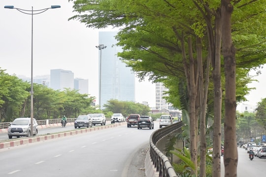 Bắc Bộ dịu mát, vùng đồng bằng và ven biển có mưa rào rải rác