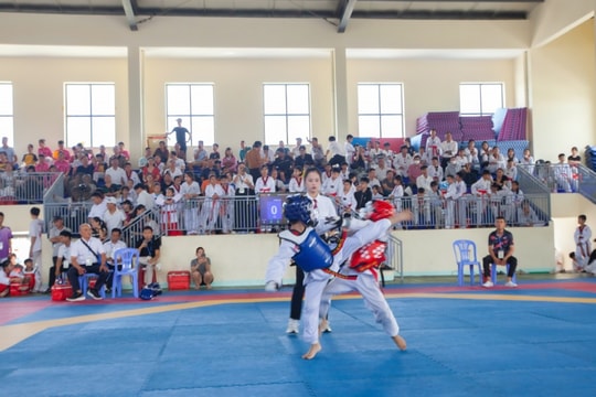 Gần 400 võ sinh dự giải taekwondo trẻ các câu lạc bộ Đà Nẵng