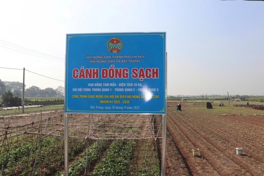Thay đổi thói quen sản xuất nông nghiệp nhờ mô hình “Cánh đồng sạch”