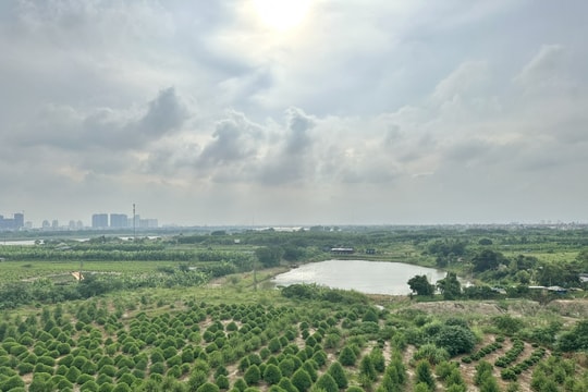 Khai thác hiệu quả đất bãi ven sông: Từ nghị quyết đến thực tiễn địa phương
