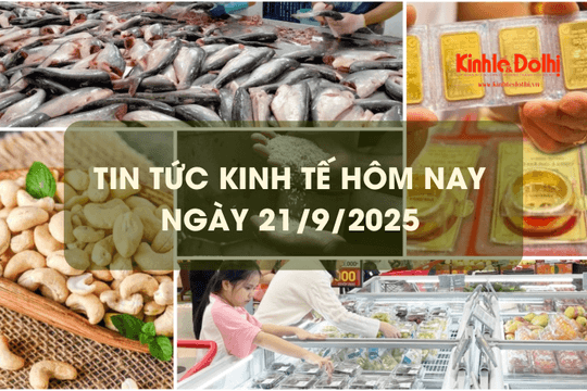Tin tức kinh tế 21/9: dự báo xuất khẩu thủy sản năm 2025 sẽ cán mốc 10 tỷ USD