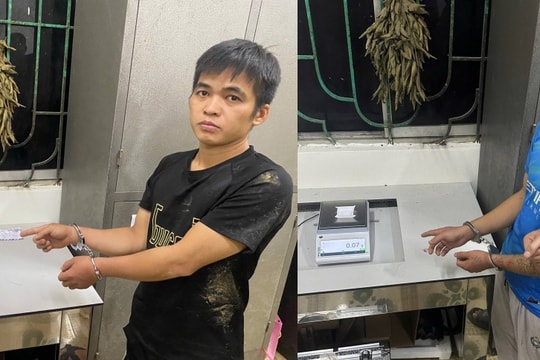 Phục Hòa (Cao Bằng): Bắt 2 đối tượng phạm tội về ma túy