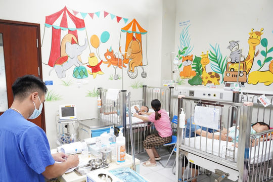 Cách xử trí đúng khi trẻ bị ong đốt để tránh nguy hiểm