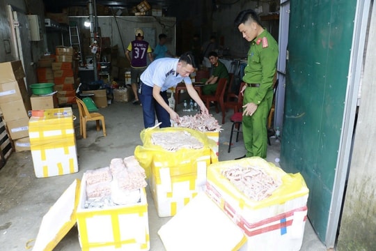 Nghệ An: Phát hiện hàng nghìn nem chua, chân gà, xúc xích đông lạnh không rõ nguồn gốc
