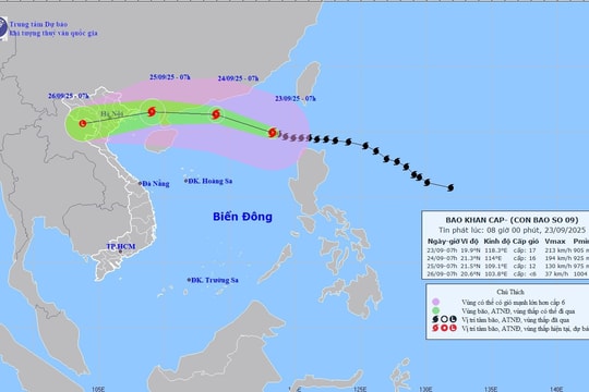 Bộ Y tế yêu cầu trực cấp cứu 24/24 ứng phó siêu bão