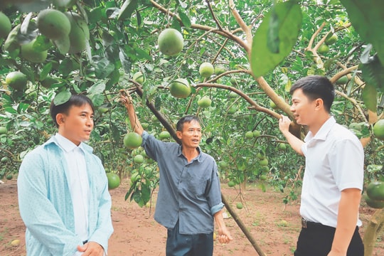 Bài 2: Vì sao vùng đất bãi chưa “thức giấc”?