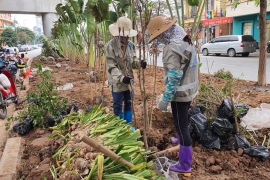 Phát triển không gian xanh, đưa Hà Nội thành đô thị đáng sống