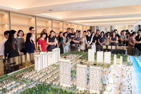 Nhà đầu tư Hà Thành hội tụ tại Sun Gallery Tay Ho, “tranh mua” căn hộ biển Vũng Tàu