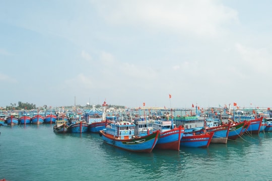 Thủ tướng chủ trì phiên họp 14 Ban Chỉ đạo chống khai thác hải sản bất hợp pháp, không báo cáo và không theo quy định