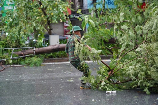 Hà Nội tập trung ứng phó siêu bão Ragasa ở mức cao nhất