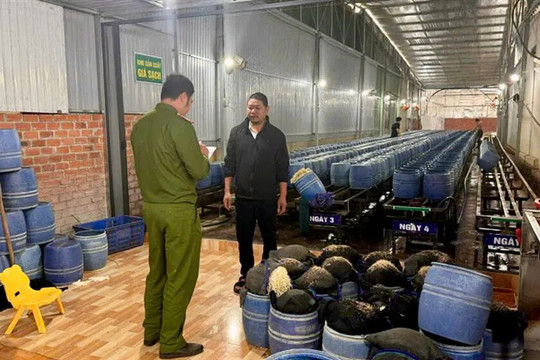 Đắk Lắk: tuyên án 4 bị cáo sản xuất giá đỗ bằng hóa chất độc hại
