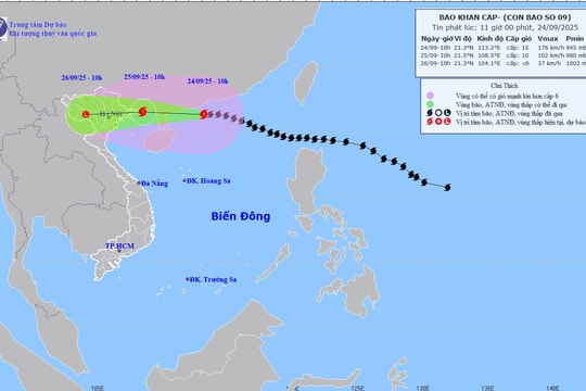Siêu bão Ragasa giảm cấp, Biển Đông đón bão Bualoi