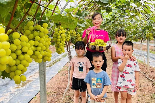 Xây dựng nông nghiệp thông minh ở Thanh Oai