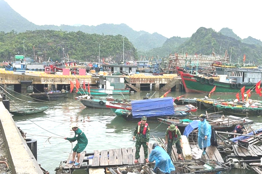 Các địa phương duyên hải Bắc Bộ cấm biển