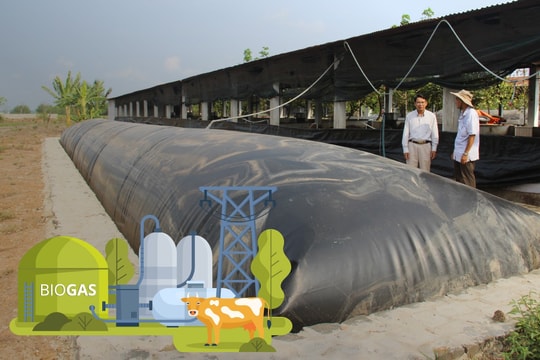 Biến chất thải chăn nuôi thành điện năng Hầm biogas - "Chìa khóa vàng" cho nông nghiệp sạch
