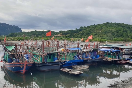 Quảng Ninh tạm dừng cấp phép các phương tiện tàu thuyền ra khơi