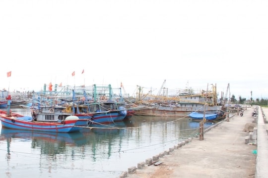 Đề nghị 21 tỉnh, thành phố chủ động ứng phó với bão Bualoi gần Biển Đông