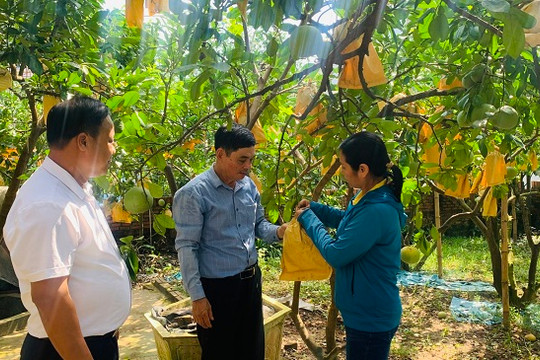 Hà Nội hướng tới nông nghiệp sinh thái, đa giá trị
