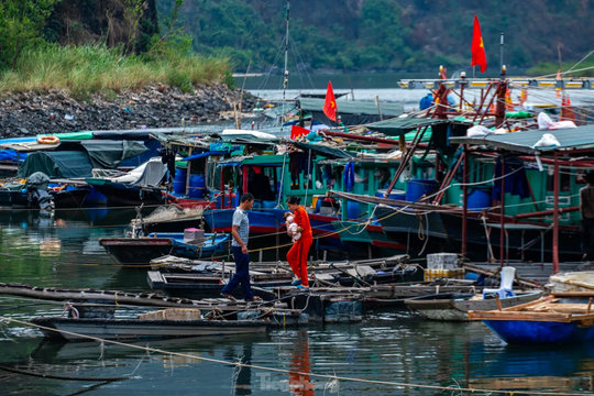 Hải Phòng: cấm các phương tiện ra khơi để phòng chống bão số 9