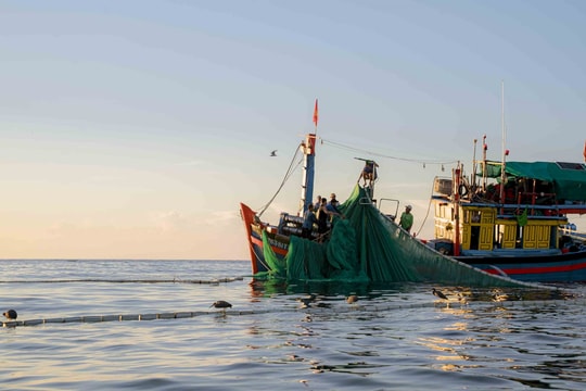 Việt Nam sẵn sàng trao đổi với Hoa Kỳ để tháo gỡ vướng mắc về nhập khẩu hải sản