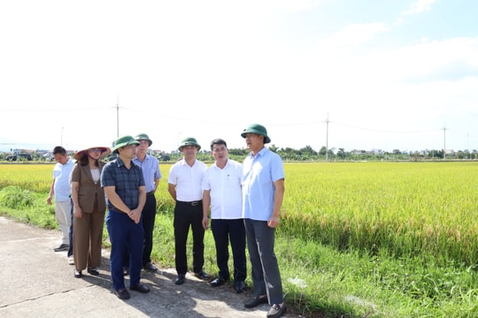 Ngoại thành Hà Nội ứng phó mưa bão số 9