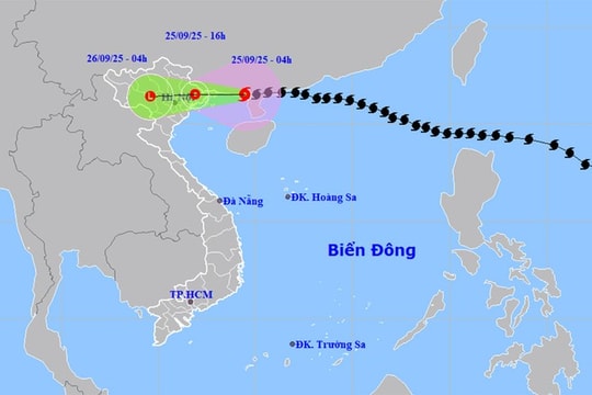Tin bão mới nhất: Bão số 9 - Ragasa giật cấp 11, cách Quảng Ninh 120km, sắp đổ bộ đất liền