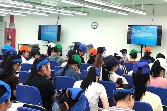 Thanh Hoá triển khai tích cực Cuộc thi tìm hiểu về Luật Công đoàn và Luật BHXH năm 2024