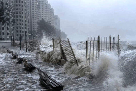 Việt Nam phối hợp quốc tế hỗ trợ ứng phó siêu bão Ragasa