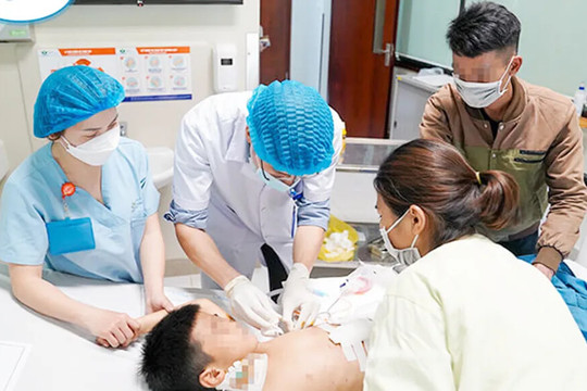 Hà Nội: hơn 20.000 người phải điều trị dự phòng bệnh dại do bị chó, mèo cắn