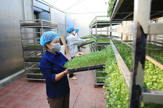 Kinh tế tuần hoàn - động lực mới cho phát triển Thủ đô