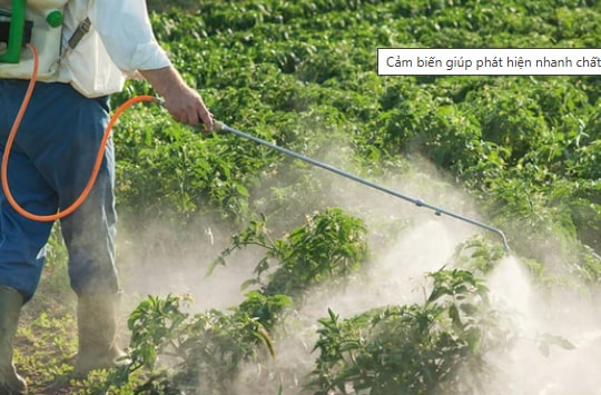 Cảm biến giúp phát hiện nhanh thuốc diệt cỏ độc hại