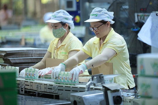 Công ty cổ phần Đường Quảng Ngãi: Đổi mới sáng tạo để nâng tầm thương hiệu