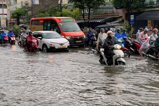 Đà Nẵng Mưa lớn, dự kiến di dời hơn 210 nghìn dân khu vực nguy hiểm